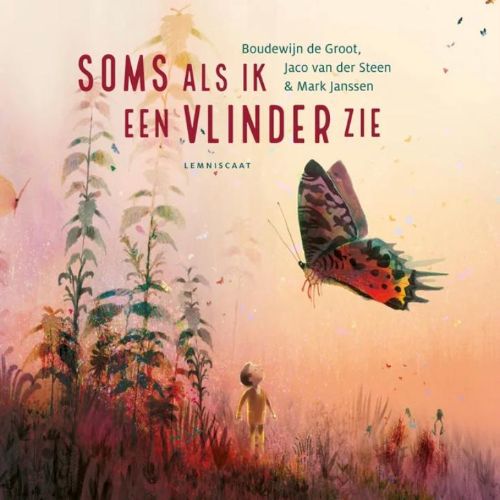 Boudewijn de Groot, Jaco van der Steen - Soms Als Ik Een Vlinder Zie - album